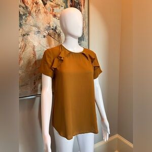 EUC Ruffled Vanheusen Blouse s/P